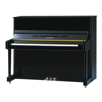 ヤマハ YM5 イメージ